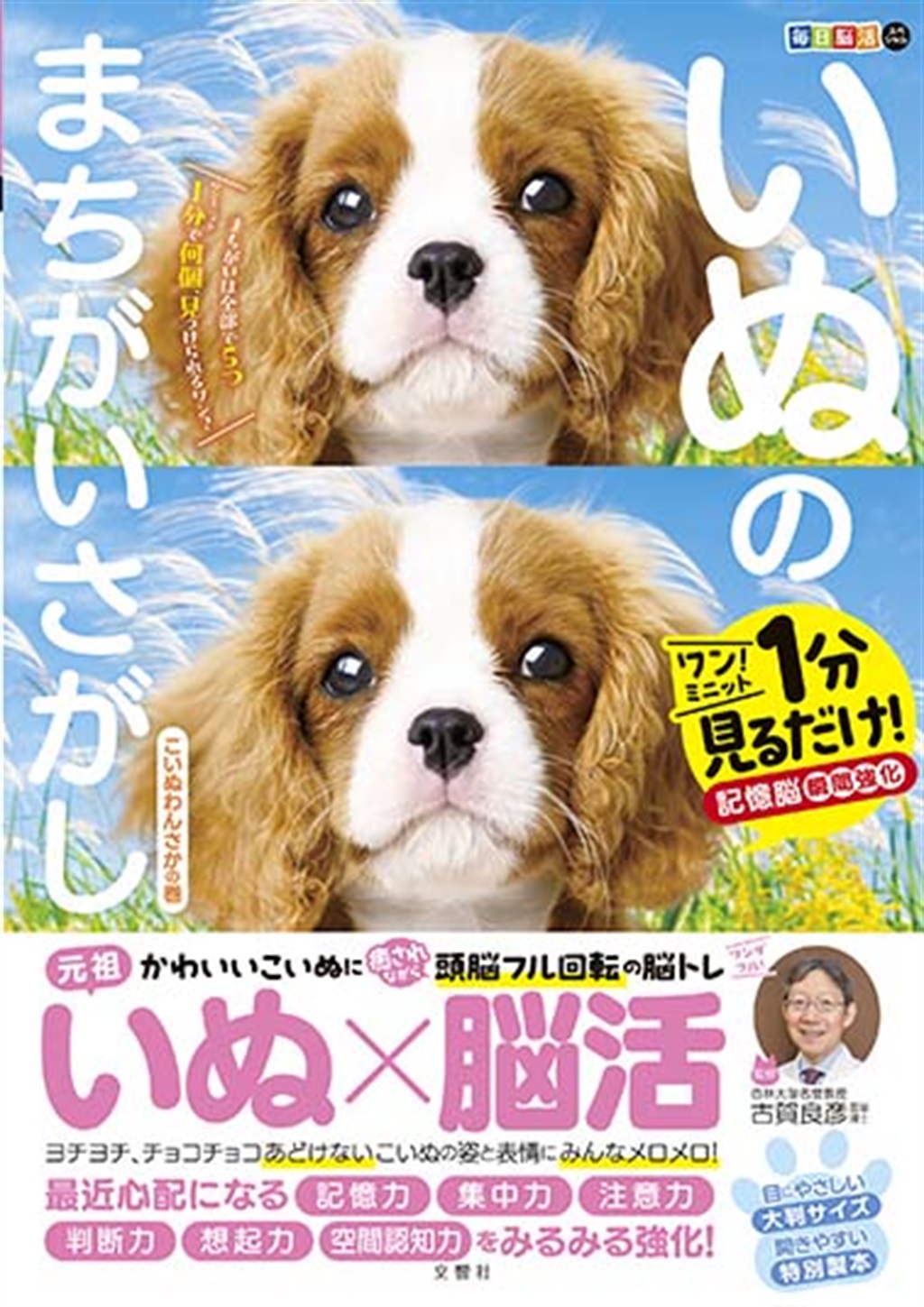毎日脳活スペシャル　いぬのまちがいさがし　こいぬわんさかの巻