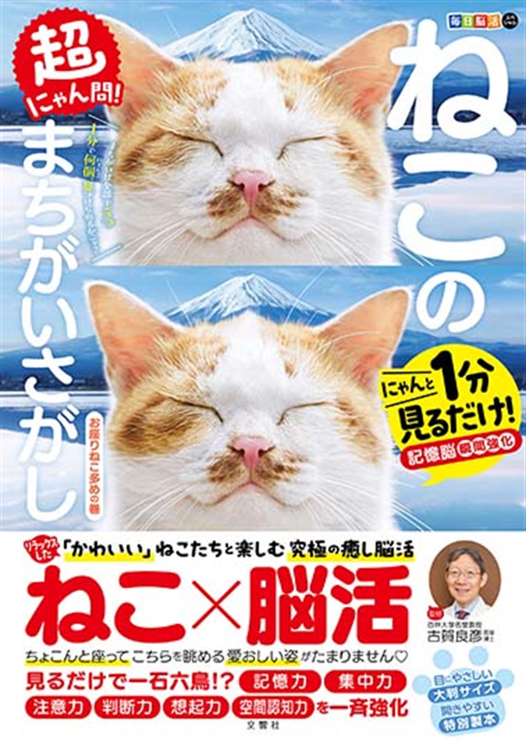毎日脳活スペシャル 超にゃん問！ ねこのまちがいさがし お座りねこ