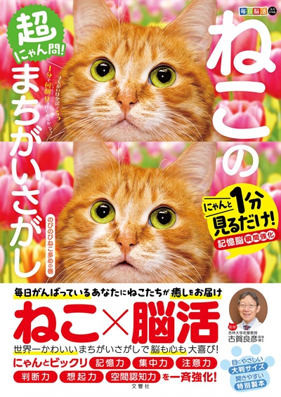 毎日脳活スペシャル　超にゃん問！ねこのまちがいさがし　のびのびねこ多めの巻
