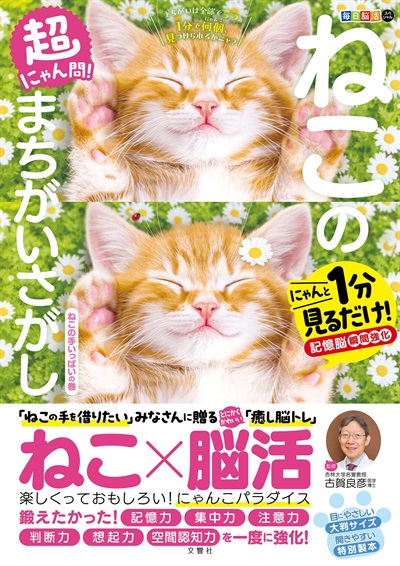 毎日脳活スペシャル 超にゃん問！ ねこのまちがいさがし ねこの手いっぱいの巻