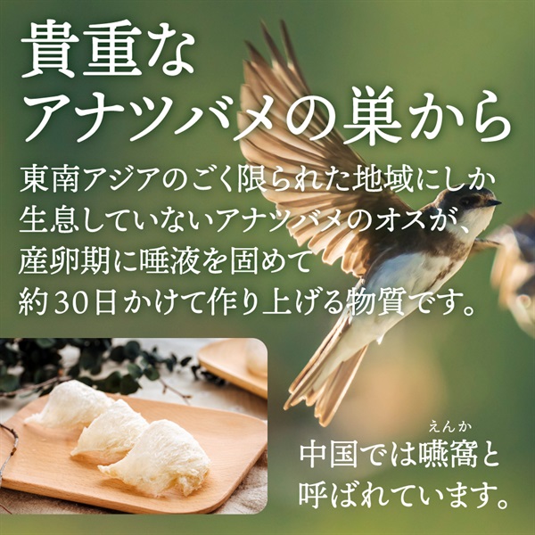 燕の巣の粉末（燕の巣エキス細粒） | マキノストア 公式通販